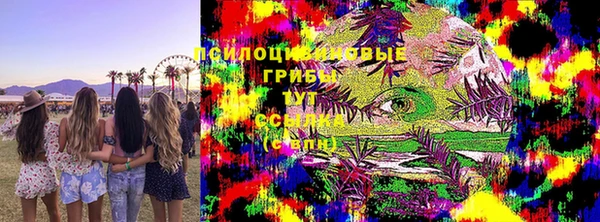 jwh Богородицк